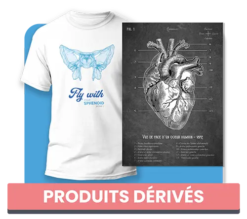 Goodies, t-shirts et posters anatomie