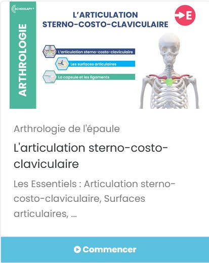 Astuces pour réussir ses examens d’anatomie du 1er coup