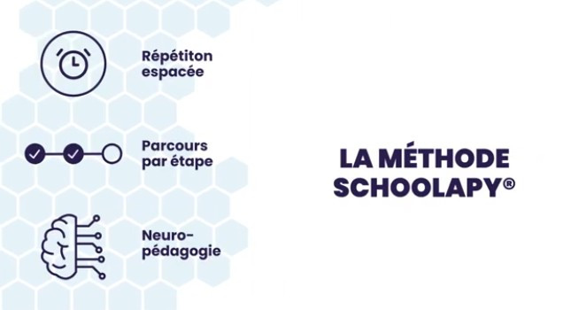 Les 5 erreurs à éviter pour réussir ses examens en anatomie