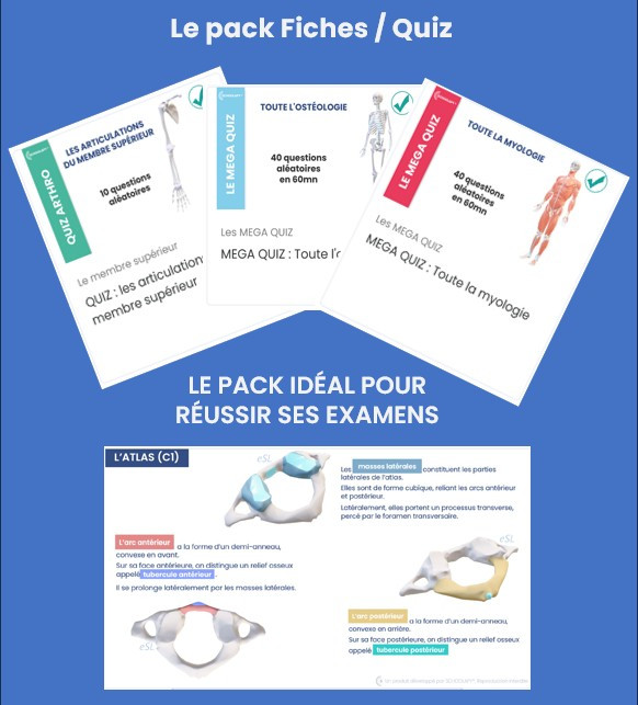 Besoins d'outils efficaces pour vos révisions en anatomie ?